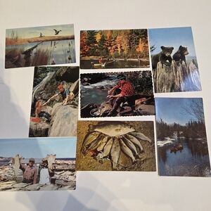 Lot Of 8 Fishing And Hunting Themed Vintage Postcards